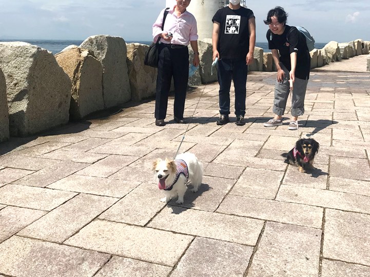 画像3