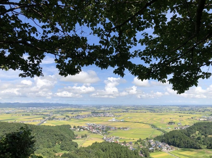 画像2