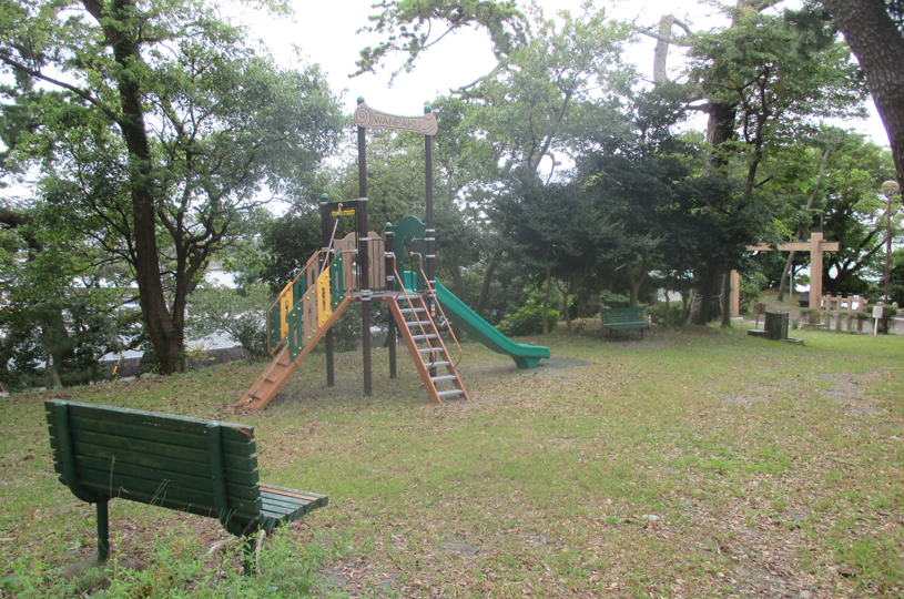 画像5