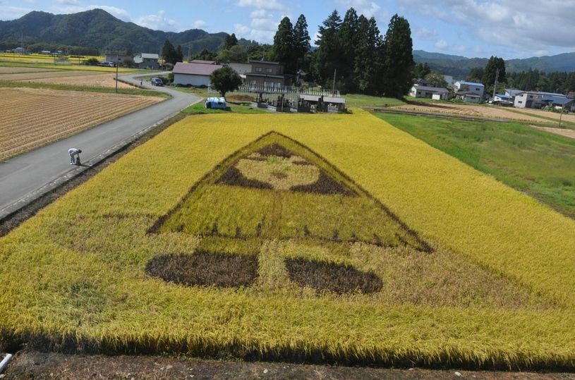 画像3
