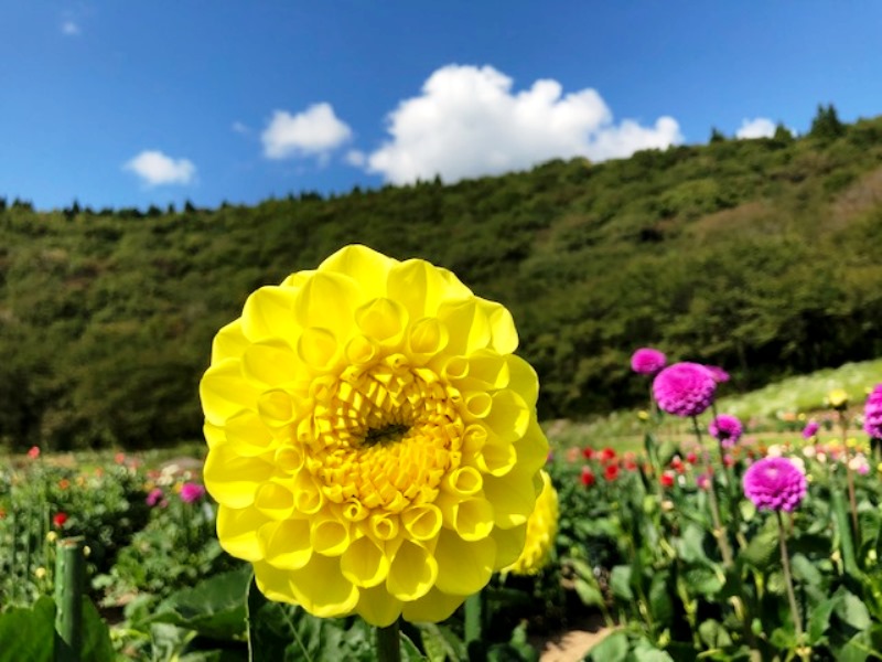 画像2