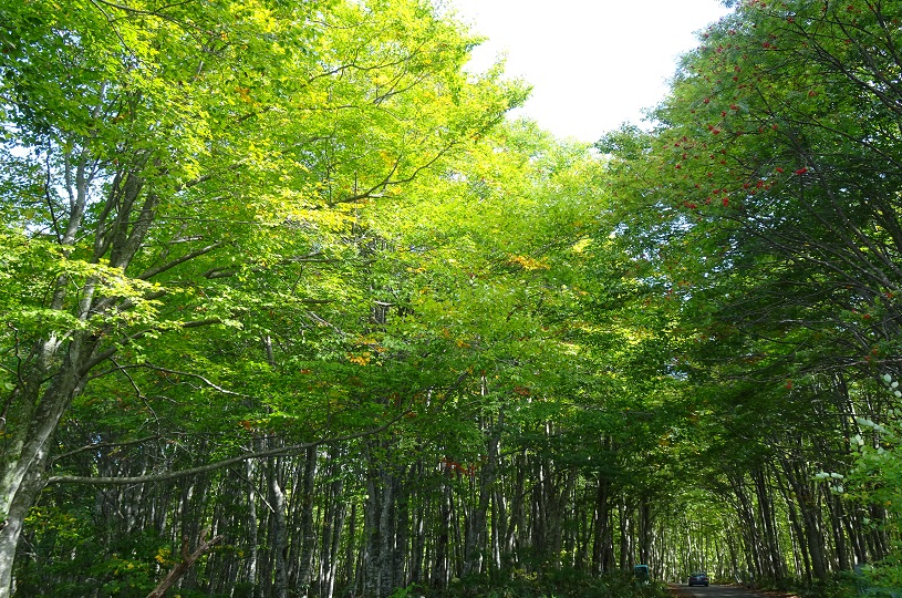画像5