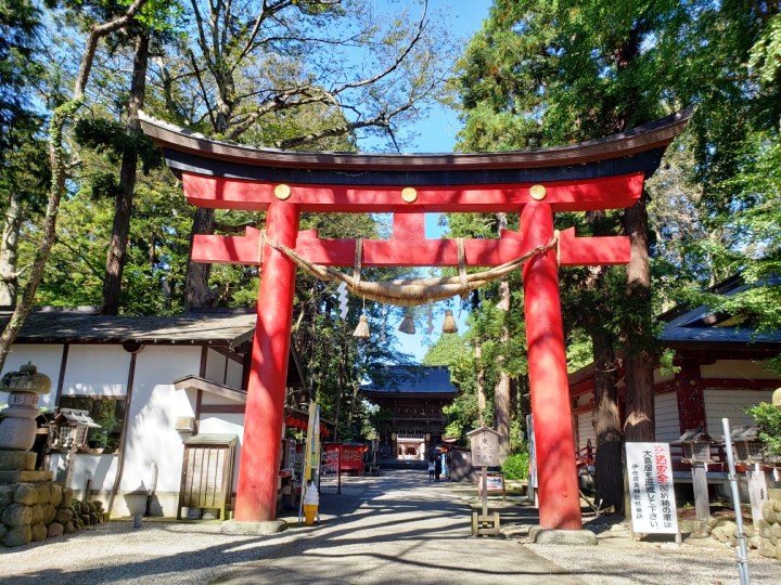 画像1