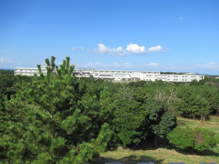 画像2