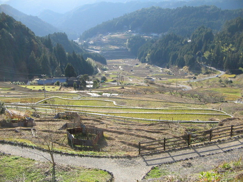 画像2