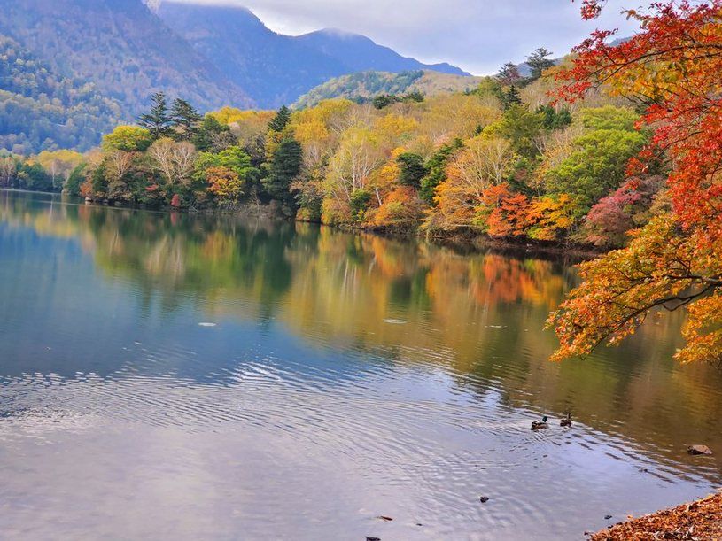 画像2