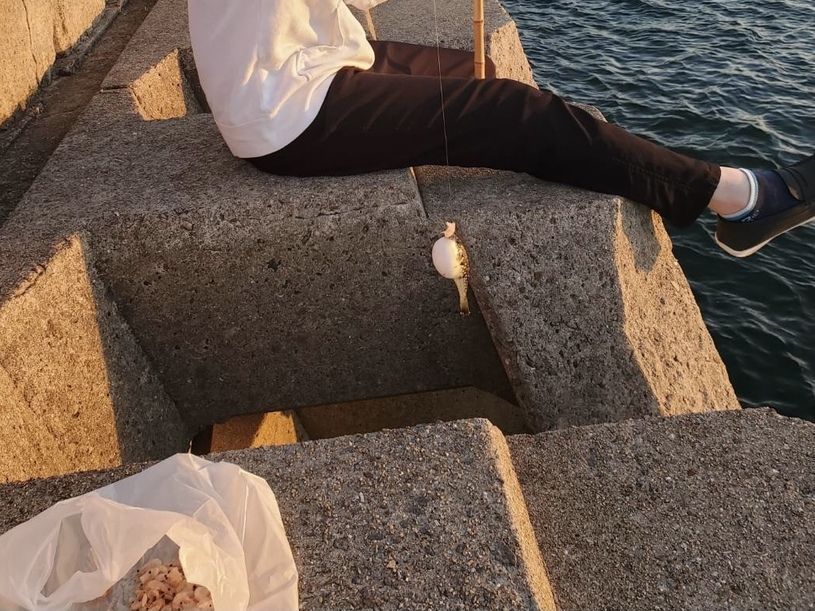 画像1
