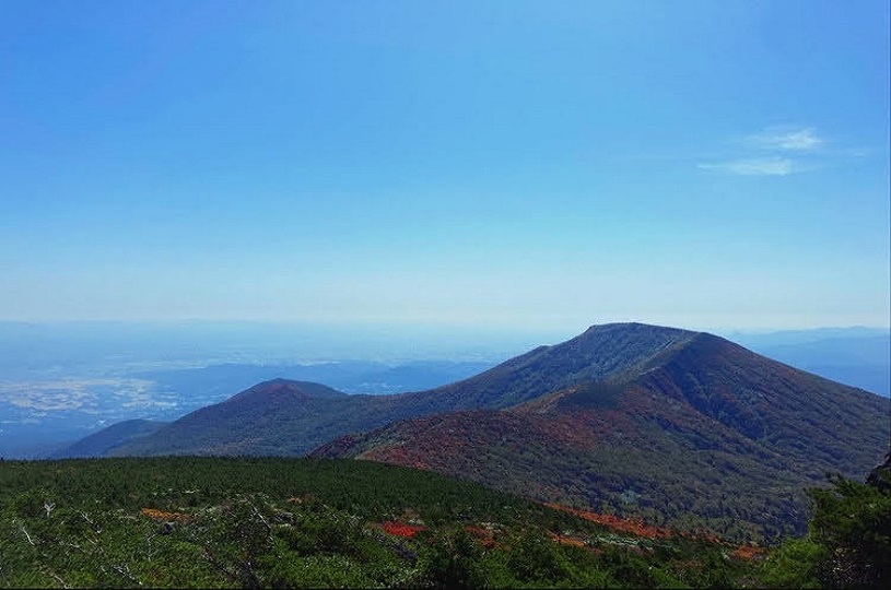 画像1