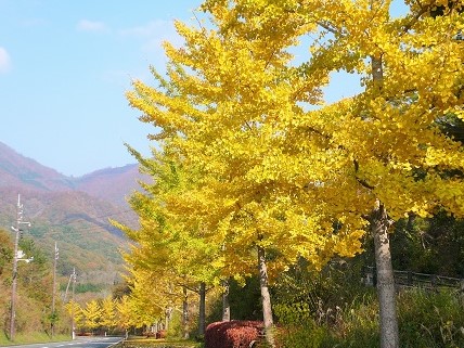 画像5