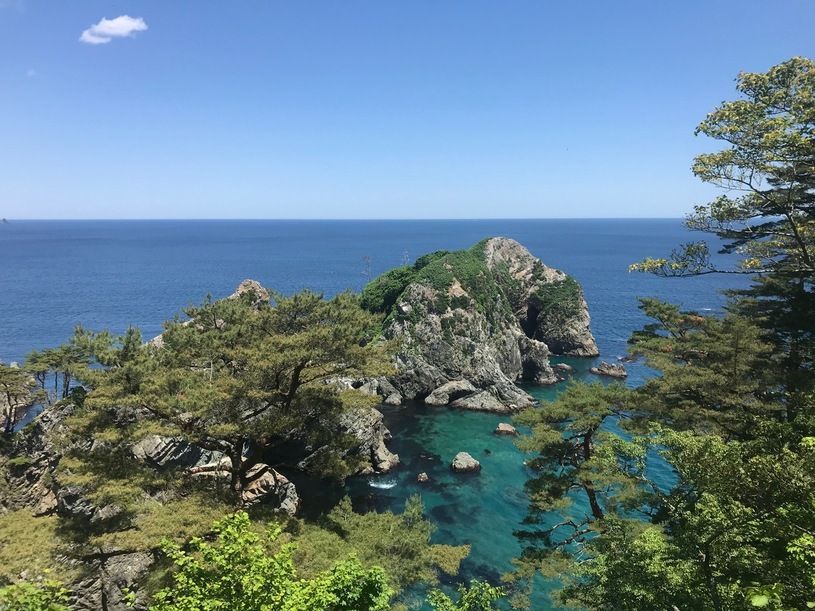 画像1
