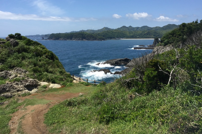 画像1