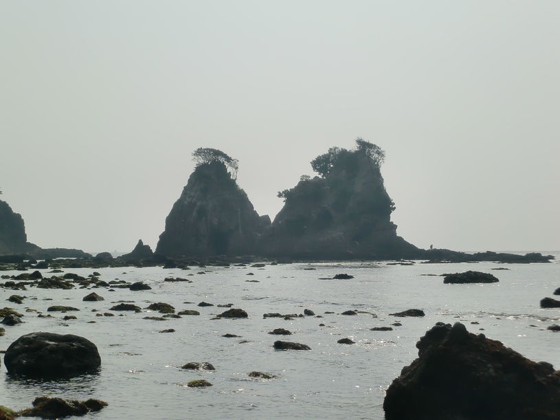 画像1
