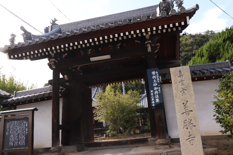 画像5