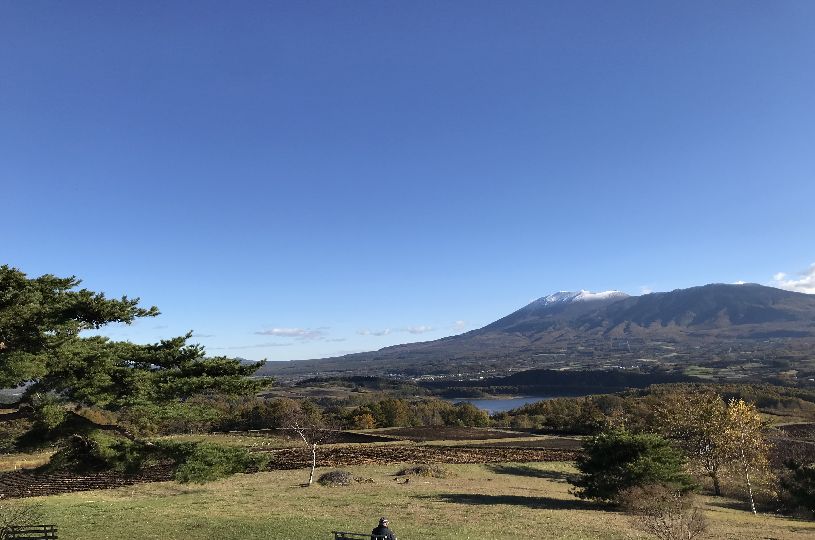 画像1