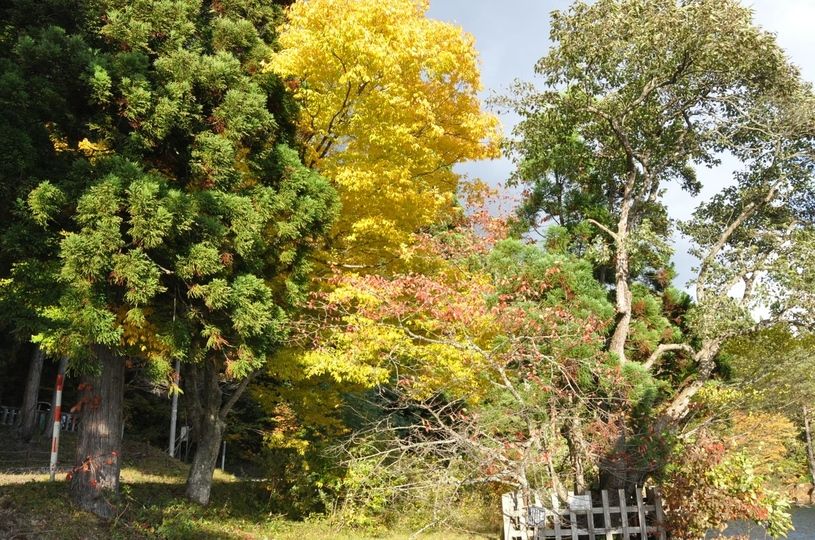 画像2