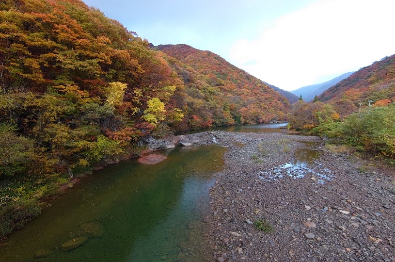 画像4
