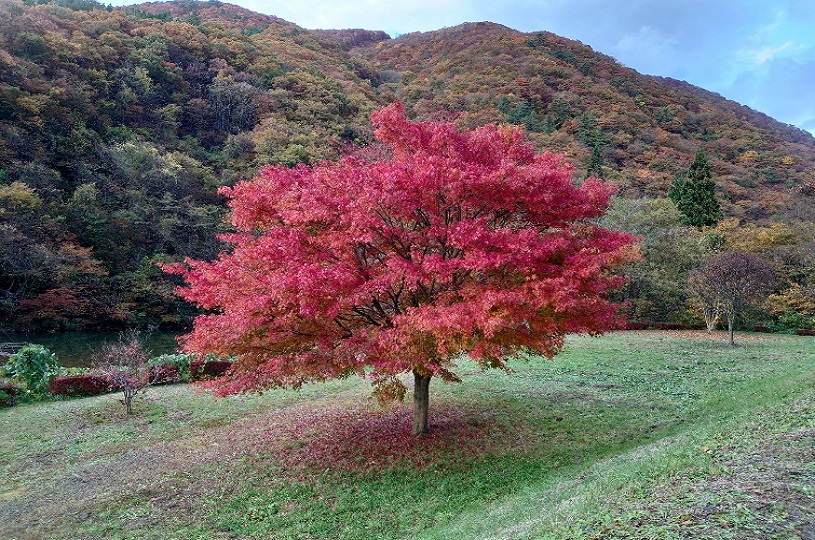 画像5
