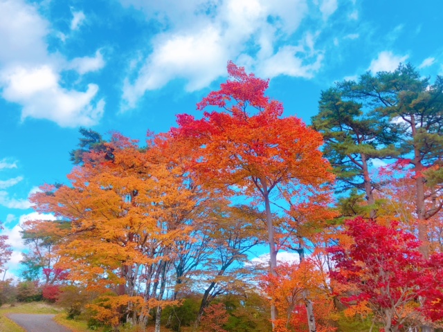画像1