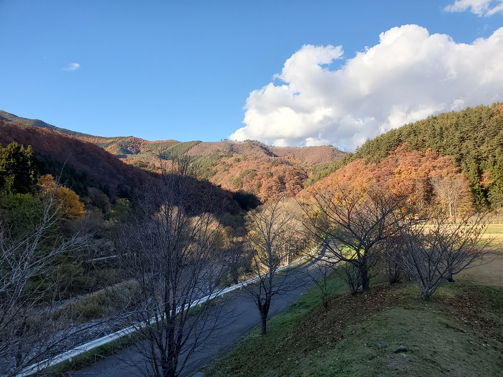 画像2