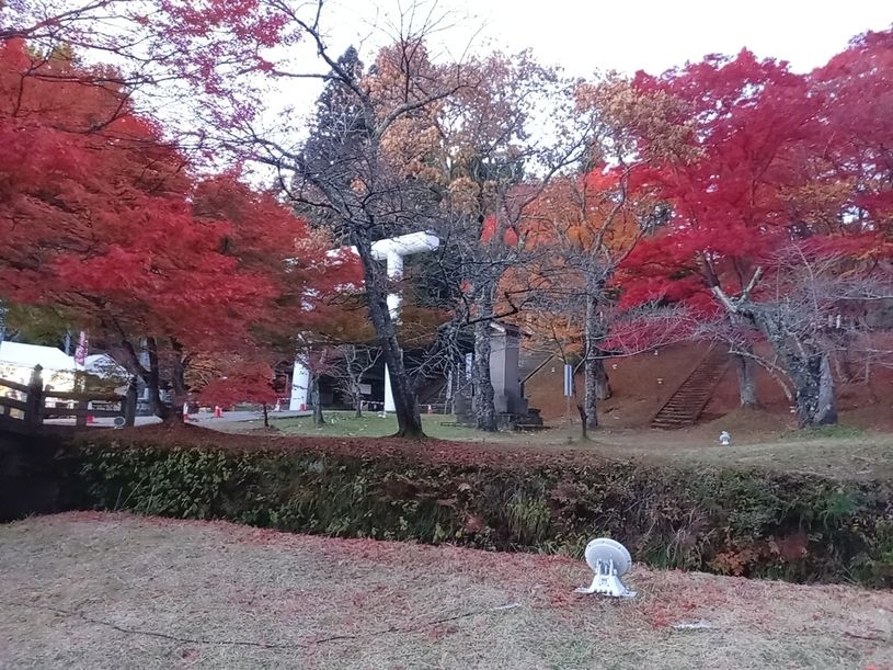 画像3