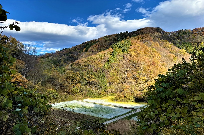 画像2