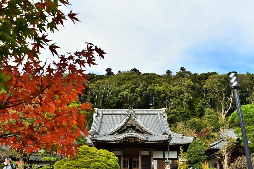 画像2