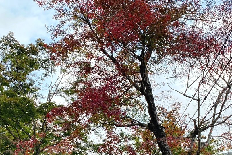画像4