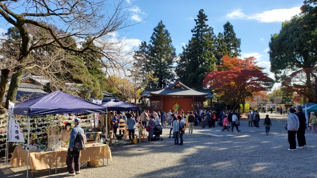 画像1