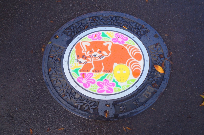 画像5