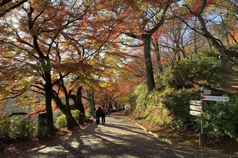 画像2