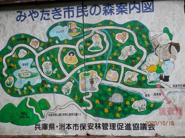 画像5