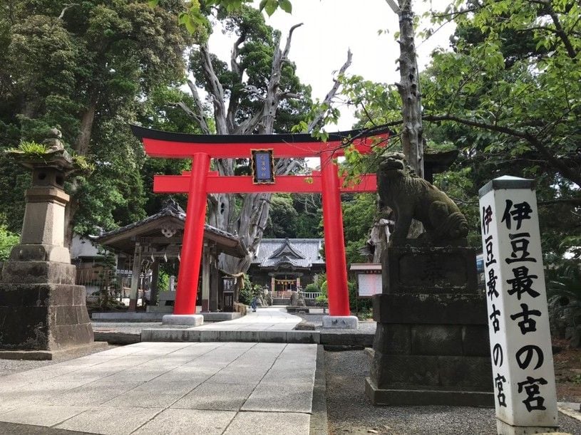 画像1