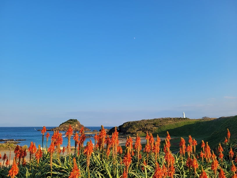 画像3