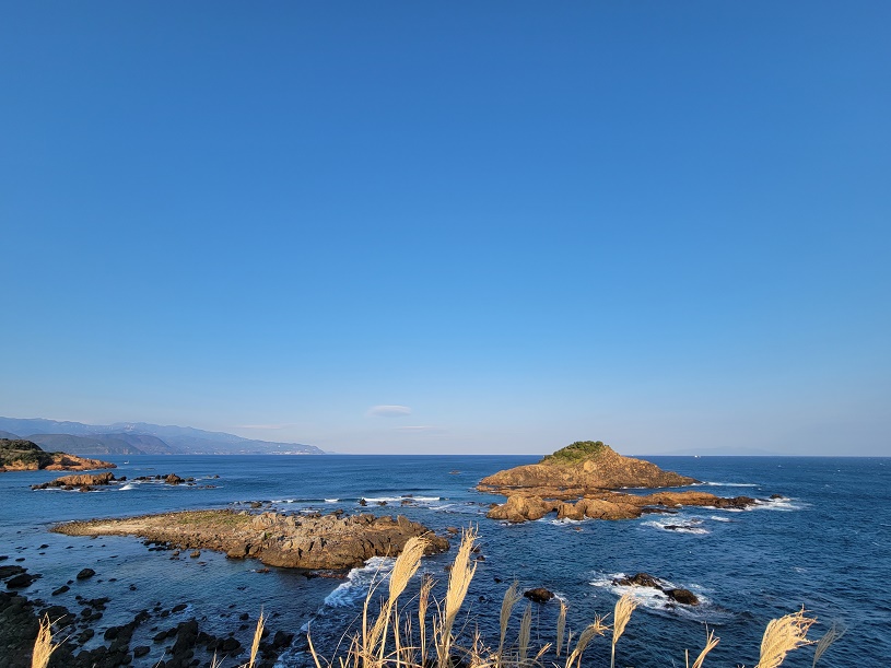 画像2