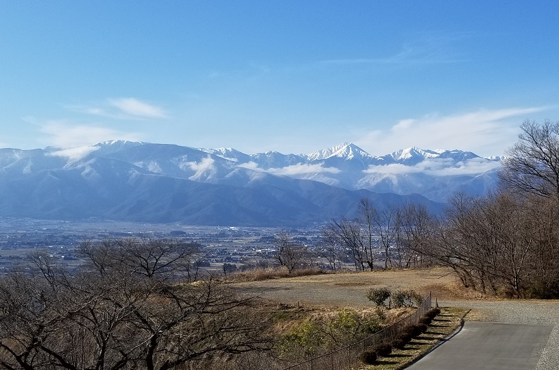 画像1