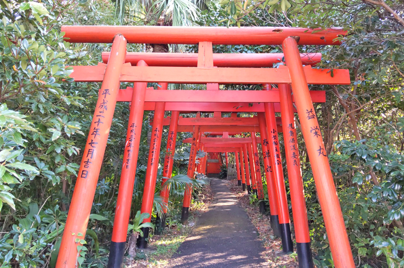 画像1
