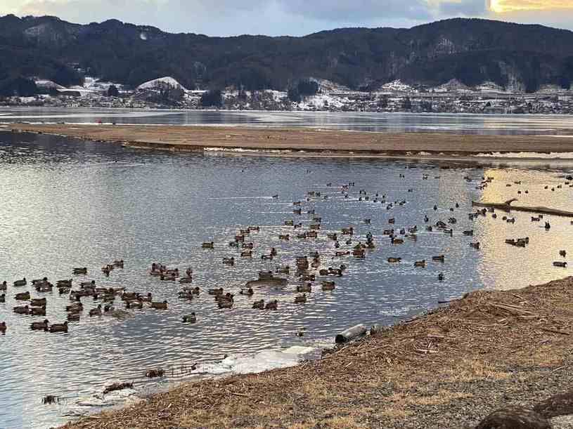 画像3