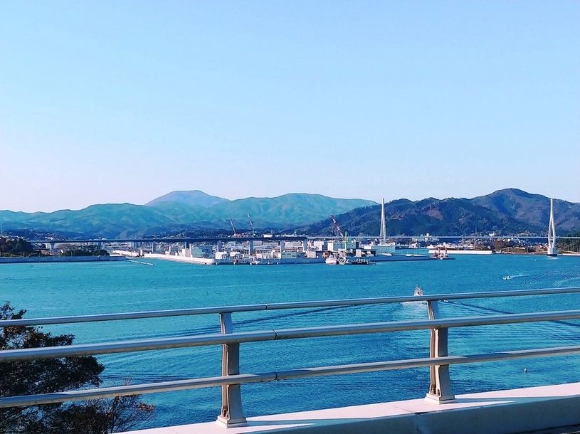 画像4
