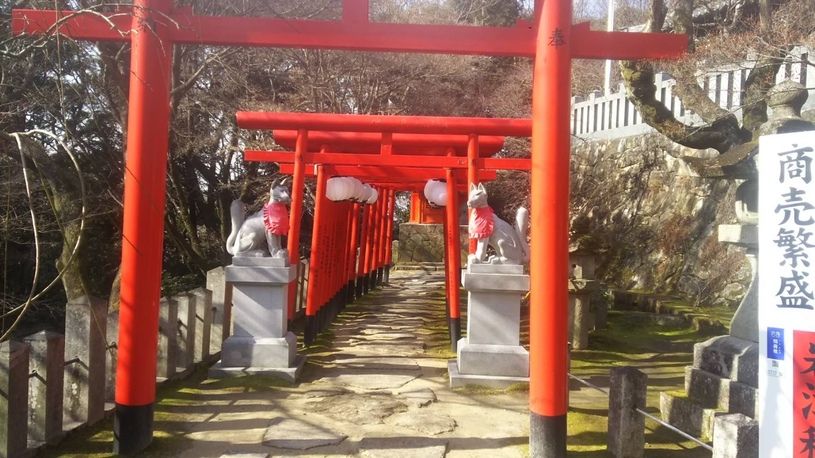画像4