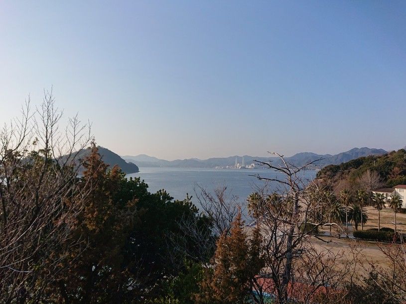 画像4
