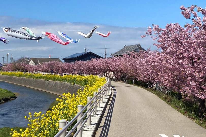画像4