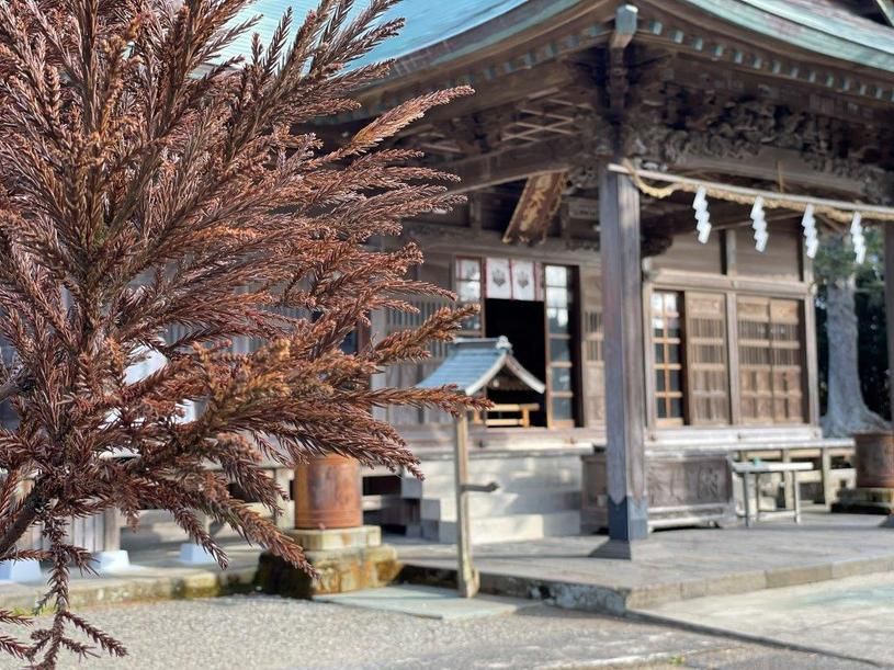 画像4