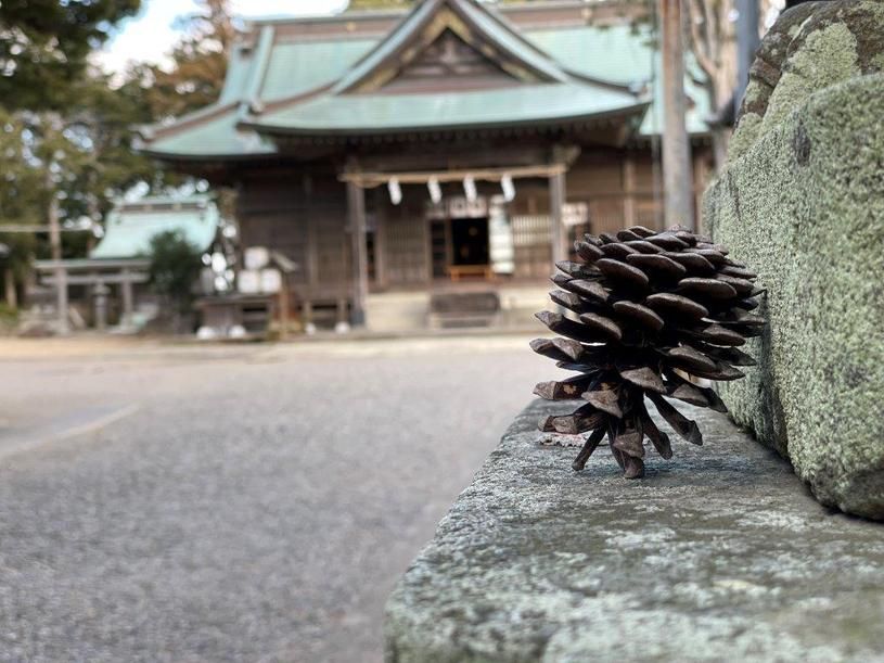 画像5