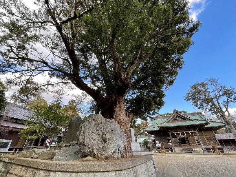 画像5