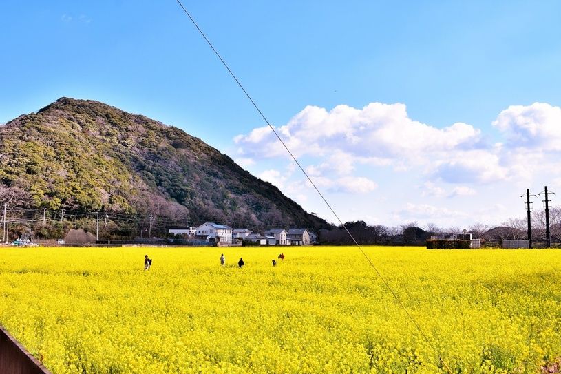 画像2