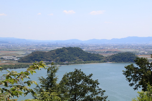 画像1