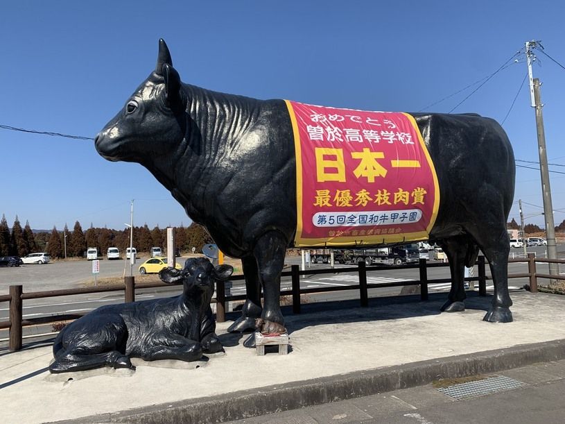 画像1