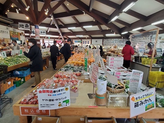 画像1