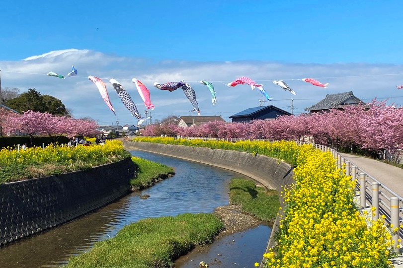 画像2