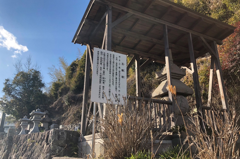 画像5